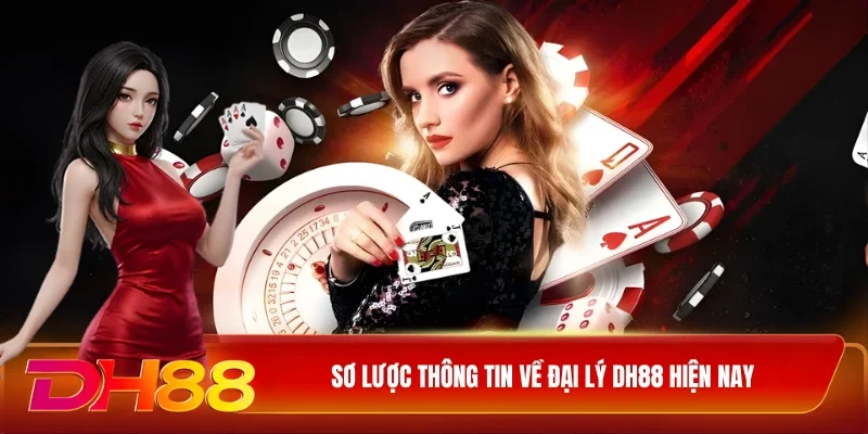 DH88 Đại lý DH88 Sơ lược thông tin về đại lý DH88 hiện nay