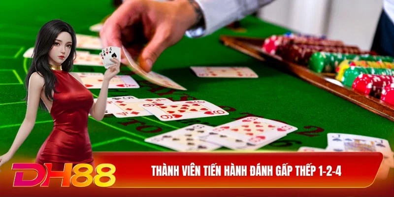 DH88 Live Casino DH88 Thành viên tiến hành đánh gấp thếp 1-2-4